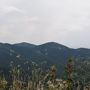 Meet your Posher, Svkittycat